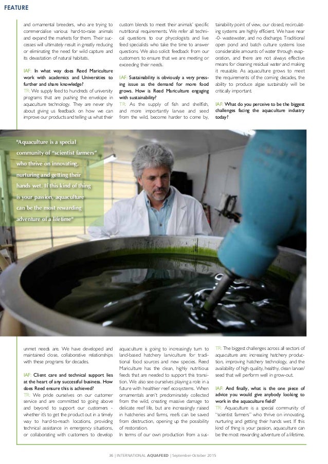 microalgae different types of