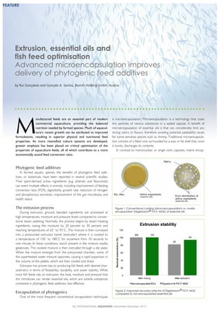 M
anufactured feeds are an essential part of modern
commercial aquaculture, providing the balanced
nutrition needed by farmed species. Much of aquacul-
ture’s recent growth can be attributed to improved
formulations, resulting in superior physical and nutritional feed
properties. As more intensified culture systems are developed,
greater emphasis has been placed on critical optimisation of the
properties of aquaculture feeds, all of which contribute to a more
economically sound feed conversion ratio.
Phytogenic feed additives
In farmed aquatic species, the benefits of phytogenic feed addi-
tives, or botanicals, have been reported in several scientific studies.
Their plant-derived active ingredients (e.g. phenols and flavonoids)
can exert multiple effects in animals, including improvement of feeding
conversion ratio (FCR), digestibility, growth rate, reduction of nitrogen
and phosphorous excretion, improvement of the gut microbiota and
health status.
The extrusion process
During extrusion, ground, blended ingredients are processed at
high temperatures, moisture and pressure levels compared to conven-
tional steam pelleting. Normally, the process begins by steam treating
ingredients, raising the moisture by 20 percent to 30 percent and
reaching temperatures of 65˚ to 95˚C. The mixture is then conveyed
into a pressurised extrusion barrel (extruder) where it is cooked to
a temperature of 130˚ to 180˚C for anywhere from 10 seconds to
one minute. In these conditions, starch present in the mixture readily
gelatinizes. The cooked mixture is then extruded through a die plate.
When the mixture emerges from the pressurised chamber, some of
the superheated water mixture vaporises, causing a rapid expansion in
the volume of the pellets, which are then cooled and dried.
Extrusion has proven key to producing fish feeds with desired char-
acteristics in terms of floatability, durability, and water stability. While
most fish feeds rely on extrusion, the heat, moisture and pressure that
this introduces can render essential oils, which are volatile substances
contained in phytogenic feed additives, less effective.
Encapsulation of phytogenics
One of the most frequent conventional encapsulation techniques
is microencapsulation. Microencapsulation is a technology that coats
tiny particles of various substances in a sealed capsule. A benefit of
microencapsulation of essential oils is that can considerably limit any
strong odors or flavors, therefore avoiding potential palatability issues
for some sensitive species such as shrimp. Traditional microencapsula-
tion consists of a filled core surrounded by a wax or fat shell that, once
it bursts, discharges its contents.
In contrast to mononuclear, or single core, capsules, matrix encap-
Extrusion, essential oils and
fish feed optimisation
Advanced microencapsulation improves
delivery of phytogenic feed additives
Figure 1: Conventional coating (Micro-encapsulation) vs. matrix-
encapsulation (Digestarom® P.E.P. MGE) of essential oils
Figure 2: Improved recovery rates for of Digestarom® P.E.P. MGE
compared to non-encapsulated essential oils
by Rui Gonçalves and Gonçalo A. Santos, Biomin Holding GmbH, Austria
16 | INTERNATIONAL AQUAFEED | November-December 2015
FEATURE
 