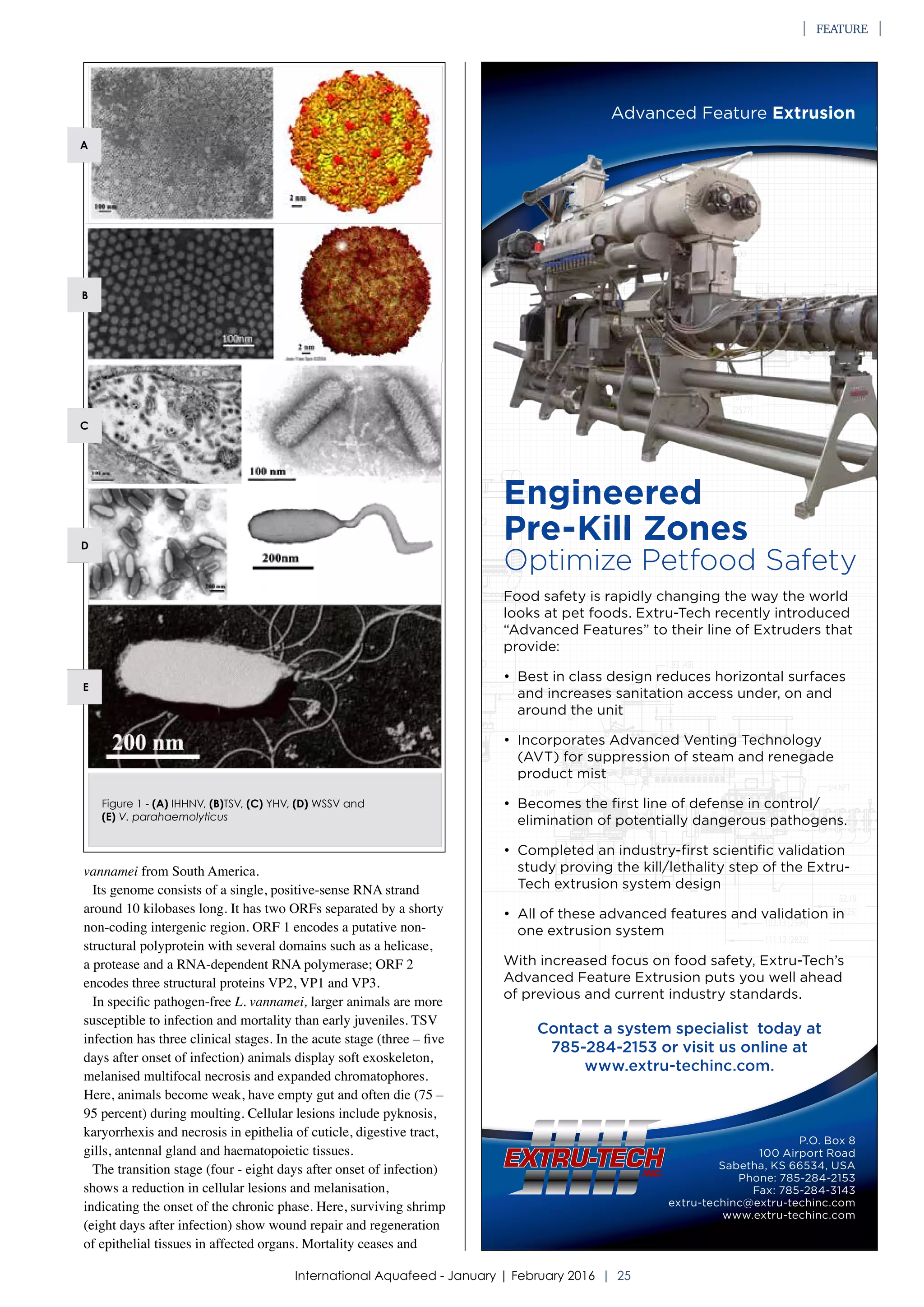 Infectious diseases and control strategies in shrimp | PDF