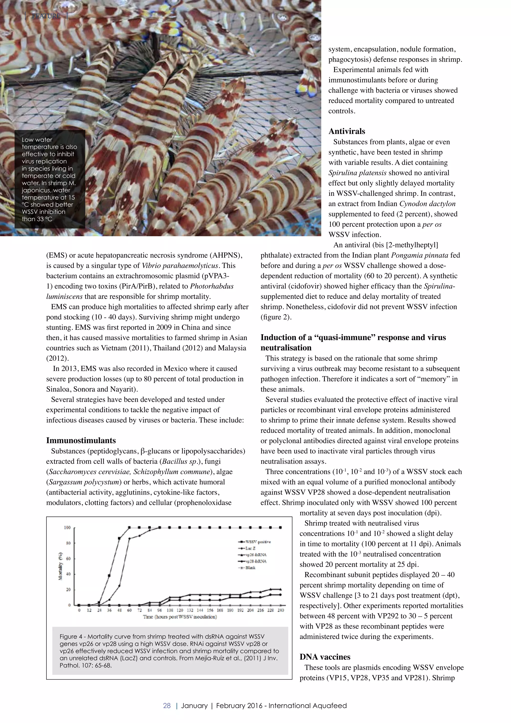 Infectious diseases and control strategies in shrimp | PDF