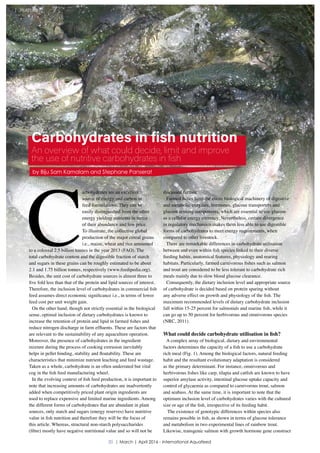 C
arbohydrates are an excellent
source of energy and carbon in
feed formulations. They can be
easily distinguished from the other
energy yielding nutrients in terms
of their abundance and low price.
To illustrate, the collective global
production of the major cereal grains
i.e., maize, wheat and rice amounted
to a colossal 2.5 billion tonnes in the year 2013 (FAO). The
total carbohydrate content and the digestible fraction of starch
and sugars in these grains can be roughly estimated to be about
2.1 and 1.75 billion tonnes, respectively (www.feedipedia.org).
Besides, the unit cost of carbohydrate sources is almost three to
five fold less than that of the protein and lipid sources of interest.
Therefore, the inclusion level of carbohydrates in commercial fish
feed assumes direct economic significance i.e., in terms of lower
feed cost per unit weight gain.
On the other hand, though not strictly essential in the biological
sense, optimal inclusion of dietary carbohydrates is known to
increase the retention of protein and lipid in farmed fishes and
reduce nitrogen discharge in farm effluents. These are factors that
are relevant to the sustainability of any aquaculture operation.
Moreover, the presence of carbohydrates in the ingredient
mixture during the process of cooking extrusion inevitably
helps in pellet binding, stability and floatability. These are
characteristics that minimize nutrient leaching and feed wastage.
Taken as a whole, carbohydrate is an often underrated but vital
cog in the fish feed manufacturing wheel.
In the evolving context of fish feed production, it is important to
note that increasing amounts of carbohydrates are inadvertently
added when competitively priced plant origin ingredients are
used to replace expensive and limited marine ingredients. Among
the different forms of carbohydrates that are abundant in plant
sources, only starch and sugars (energy reserves) have nutritive
value in fish nutrition and therefore they will be the focus of
this article. Whereas, structural non-starch polysaccharides
(fibre) mostly have negative nutritional value and so will not be
discussed further.
Farmed fishes have the entire biological machinery of digestive
and metabolic enzymes, hormones, glucose transporters and
glucose sensing components, which are essential to use glucose
as a cellular energy currency. Nevertheless, certain divergence
in regulatory mechanism makes them less able to use digestible
forms of carbohydrates to meet energy requirements, when
compared to other livestock.
There are remarkable differences in carbohydrate utilisation
between and even within fish species linked to their diverse
feeding habits, anatomical features, physiology and rearing
habitats. Particularly, farmed carnivorous fishes such as salmon
and trout are considered to be less tolerant to carbohydrate rich
meals mainly due to slow blood glucose clearance.
Consequently, the dietary inclusion level and appropriate source
of carbohydrate is decided based on protein sparing without
any adverse effect on growth and physiology of the fish. The
maximum recommended levels of dietary carbohydrate inclusion
fall within 15-25 percent for salmonids and marine fish, while it
can go up to 50 percent for herbivorous and omnivorous species
(NRC, 2011).
What could decide carbohydrate utilisation in fish?
A complex array of biological, dietary and environmental
factors determines the capacity of a fish to use a carbohydrate
rich meal (Fig. 1). Among the biological factors, natural feeding
habit and the resultant evolutionary adaptation is considered
as the primary determinant. For instance, omnivorous and
herbivorous fishes like carp, tilapia and catfish are known to have
superior amylase activity, intestinal glucose uptake capacity and
control of glycaemia as compared to carnivorous trout, salmon
and seabass. At the same time, it is important to note that the
optimum inclusion level of carbohydrates varies with the cultured
size or age of the fish, irrespective of its feeding habit.
The existence of genotypic differences within species also
remains possible in fish, as shown in terms of glucose tolerance
and metabolism in two experimental lines of rainbow trout.
Likewise, transgenic salmon with growth hormone gene construct
Carbohydrates in fish nutrition
An overview of what could decide, limit and improve
the use of nutritive carbohydrates in fish
by Biju Sam Kamalam and Stephane Panserat
20 | March | April 2016 - International Aquafeed
FEATURE
 