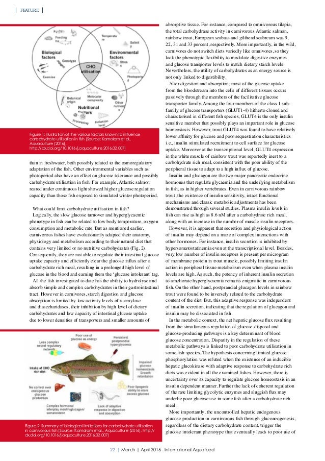 Carbohydrates in fish nutrition