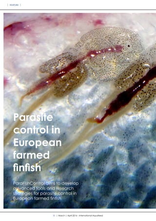 Parasite
control in
European
farmed
finfish
ParaFishControl aims to develop
advanced tools and research
strategies for parasite control in
European farmed finfish
30 | March | April 2016 - International Aquafeed
FEATURE
 