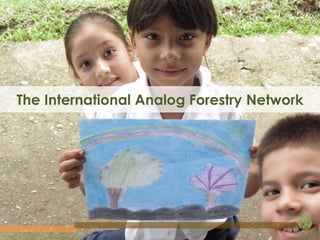 The International Analog Forestry Network

Restoring the planet’s life-support systems.

 