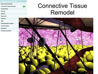 Connective Tissue Remodel Changes from v1.0 to v2.0 Blood Vessel Network Connective Tissue Remodel Trophy Room Scoring Options Save/Load Advisors Q&A Implementation Hurdles Game Progress Gameplay Briefing Interstitials 