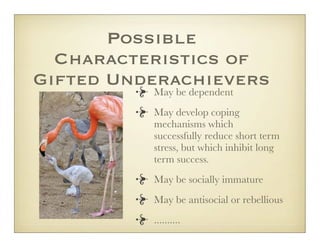 Possible
  Characteristics of
Gifted Underachievers
          May be dependent
          May develop coping
          mechanisms which
          successfully reduce short term
          stress, but which inhibit long
          term success.
          May be socially immature
          May be antisocial or rebellious
          ..........
 