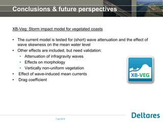 IAHR 2015 - Modeling of wave attenuation by vegetation with XBeach, Van ...