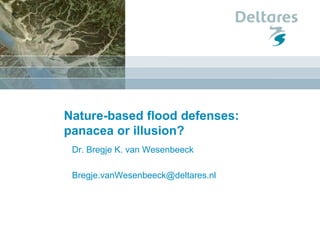 Nature-based flood defenses:
panacea or illusion?
Dr. Bregje K. van Wesenbeeck
Bregje.vanWesenbeeck@deltares.nl
 