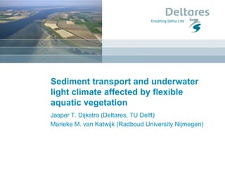 Sediment transport and underwater
light climate affected by flexible
aquatic vegetation
Jasper T. Dijkstra (Deltares, TU Delft)
Marieke M. van Katwijk (Radboud University Nijmegen)
 