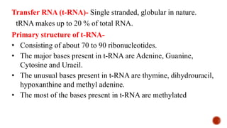 Chemistry of nucleic acids for I year Allied Health Sciences .pdf