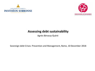 Assessing debt sustainability
Agnès Bénassy-Quéré
Sovereign debt Crises: Prevention and Management, Rome, 10 December 2018
 