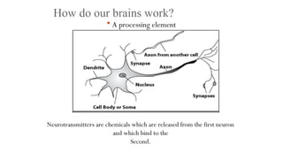 How do our brains work?
 A processing element
Neurotransmitters are chemicals which are released from the first neuron
and which bind to the
Second.
 
