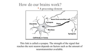 How do our brains work?
 A processing element
This link is called a synapse. The strength of the signal that
reaches the next neuron depends on factors such as the amount of
neurotransmitter available.
 