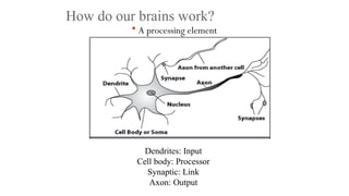 How do our brains work?
 A processing element
Dendrites: Input
Cell body: Processor
Synaptic: Link
Axon: Output
 