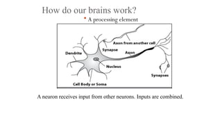 How do our brains work?
 A processing element
A neuron receives input from other neurons. Inputs are combined.
 