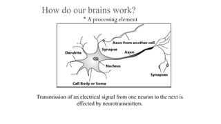 How do our brains work?
 A processing element
Transmission of an electrical signal from one neuron to the next is
effected by neurotransmitters.
 