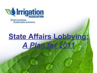 State Affairs Lobbying: A Plan for 2011 