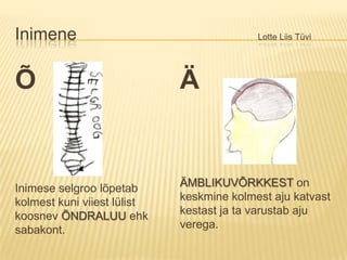 Inimene						Lotte Liis TüviÕInimese selgroo lõpetab kolmest kuni viiest lülist koosnev ÕNDRALUUehk sabakont.ÄÄMBLIKUVÕRKKEST on keskmine kolmest aju katvast kestast ja ta varustab aju verega.
