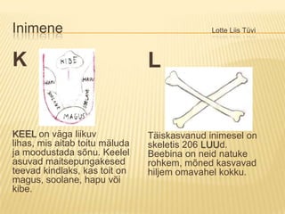 Inimene						Lotte Liis TüviKKEELon väga liikuv lihas, mis aitab toitu mäluda ja moodustada sõnu. Keelel asuvad maitsepungakesed teevad kindlaks, kas toit on magus, soolane, hapu või kibe.LTäiskasvanud inimesel on skeletis 206 LUUd.          Beebina on neid natuke rohkem, mõned kasvavad hiljem omavahel kokku.