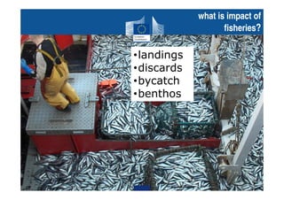 what is i pact f
fisheries
•landings
•discards
•bycatch
•benthos
 