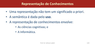 Representação de Conhecimentos

• Uma representação não tem um significado a priori.
• A semântica é dada pelo uso.
• A representação de conhecimentos envolve:
      • As ciências cognitivas; e
      • A Informática.


                          Prof. Dr. Sofiane Labidi     124
 