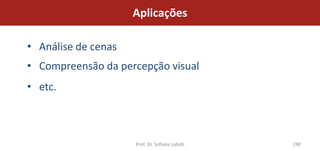 Aplicações

• Análise de cenas
• Compreensão da percepção visual
• etc.



                     Prof. Dr. Sofiane Labidi   190
 