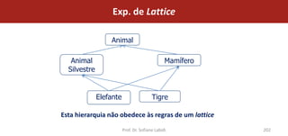 Exp. de Lattice

                  Animal

   Animal                                       Mamífero
  Silvestre


              Elefante                   Tigre

Esta hierarquia não obedece às regras de um lattice

                         Prof. Dr. Sofiane Labidi          202
 