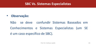 SBC Vs. Sistemas Especialistas


• Observação:
  Não   se deve    confundir Sistemas Baseados em
  Conhecimentos e Sistemas Especialistas (um SE
  é um caso específico de SBC).

                      Prof. Dr. Sofiane Labidi      65
 