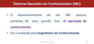 Sistemas Baseados em Conhecimentos (SBC)


• O     desenvolvimento          de              um   SBC   precisa,
  portanto, de uma grande fase de aquisição de
  conhecimento.
• Ela é realizada pelo Engenheiro de Conhecimento.

                      Prof. Dr. Sofiane Labidi                         66
 