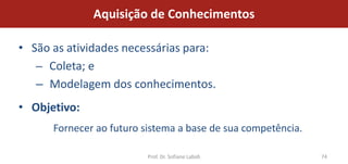 Aquisição de Conhecimentos

• São as atividades necessárias para:
   – Coleta; e
   – Modelagem dos conhecimentos.
• Objetivo:
      Fornecer ao futuro sistema a base de sua competência.

                          Prof. Dr. Sofiane Labidi            74
 