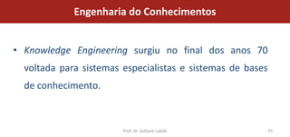 Engenharia do Conhecimentos


• Knowledge Engineering surgiu no final dos anos 70
  voltada para sistemas especialistas e sistemas de bases
  de conhecimento.



                        Prof. Dr. Sofiane Labidi        75
 