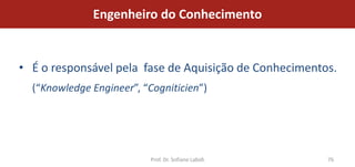 Engenheiro do Conhecimento


• É o responsável pela fase de Aquisição de Conhecimentos.
  (“Knowledge Engineer”, “Cogniticien”)




                           Prof. Dr. Sofiane Labidi     76
 