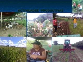 ACTIVIDADES PRODUCTIVAS
 