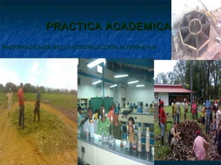 PRACTICA ACADEMICA

PREPARACION DE SILO Y CONTRUCCCION ALTERNATIVA
 