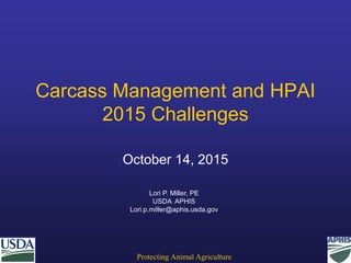 Protecting Animal Agriculture
Carcass Management and HPAI
2015 Challenges
October 14, 2015
Lori P. Miller, PE
USDA APHIS
Lori.p.miller@aphis.usda.gov
 