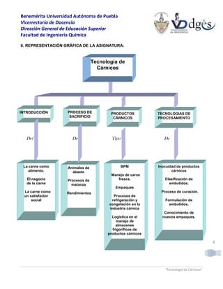 Benemérita Universidad Autónoma de Puebla
Vicerrectoría de Docencia
Dirección General de Educación Superior
Facultad de Ingeniería Química
“Tecnología de Cárnicos”
4
6. REPRESENTACIÓN GRÁFICA DE LA ASIGNATURA:
PRODUCTOS
CÁRNICOS
Tecnología de
Cárnicos
INTRODUCCIÓN PROCESO DE
SACRIFICIO
TECNOLOGIAS DE
PROCESAMIENTO
La carne como
alimento.
El negocio
de la carne
La carne como
un satisfactor
social
Animales de
abasto
Procesos de
matanza
Rendimientos
Inocuidad de productos
cárnicos
Clasificación de
embutidos.
Proceso de curación.
Formulación de
embutidos.
Conocimiento de
nuevos empaques.
BPM
Manejo de carne
fresca.
Empaques
Procesos de
refrigeración y
congelación en la
industria cárnica
Logística en el
manejo de
almacenes
frigoríficos de
productos cárnicos
Del De Tipo De
 