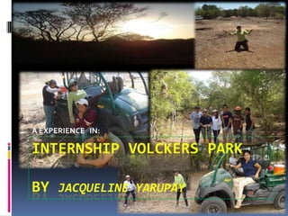 INTERNSHIP VOLCKERS PARKBY JACQUELINE YARUPAY A EXPERIENCE   IN: 