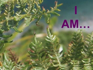 I
AM…
 