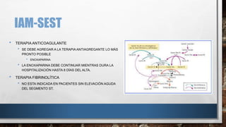 • TERAPIA ANTICOAGULANTE
• SE DEBE AGREGAR A LA TERAPIA ANTIAGREGANTE LO MÁS
PRONTO POSIBLE
• ENOXAPARINA
• LA ENOXAPARINA DEBE CONTINUAR MIENTRAS DURA LA
HOSPITALIZACIÓN HASTA 8 DÍAS DEL ALTA.
• TERAPIA FIBRINOLÍTICA
• NO ESTA INDICADA EN PACIENTES SIN ELEVACIÓN AGUDA
DEL SEGMENTO ST.
IAM-SEST
 