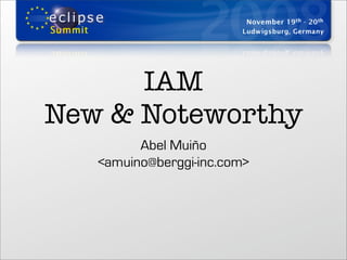 IAM
New & Noteworthy
         Abel Muiño
   <amuino@berggi-inc.com>
 