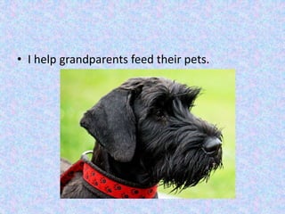 • I help grandparents feed their pets.