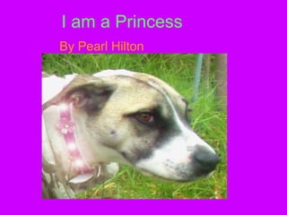 I am a Princess By Pearl Hilton 