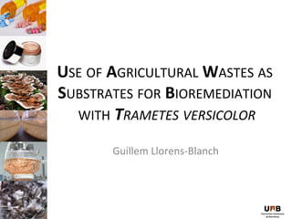 USE	
  OF	
  AGRICULTURAL	
  WASTES	
  AS	
  
SUBSTRATES	
  FOR	
  BIOREMEDIATION	
  
  WITH	
  TRAMETES	
  VERSICOLOR   	
  
           Guillem	
  Llorens-­‐Blanch	
  
 