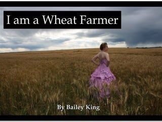 I am a Wheat Farmer
I am a Wheat Farmer

By Bailey King

 