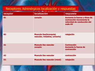 Receptores Adrenérgicos localización y respuestas
receptor localización respuesta
B1 corazón Aumenta la fuerza y ​​ritmo de
contracción incrementa la
velocidad de conducción del
nodo AV
B2 Musculo liso(bronquial,
vascular, intestina, urinario)
relajación
A1 Musculo liso vascular
corazón
Contracción
Aumenta la fuerza de
contracción
A2 Musculo liso vascular contracción
D1 Musculo liso vascular (renal) relajación
 