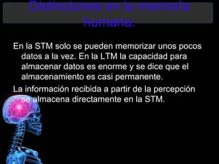 Distinciones en la memoria
              humana.
En la STM solo se pueden memorizar unos pocos
  datos a la vez. En la LTM la capacidad para
  almacenar datos es enorme y se dice que el
  almacenamiento es casi permanente.
La información recibida a partir de la percepción
  se almacena directamente en la STM.
 