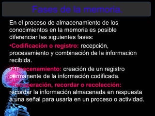 Fases de la memoria.
En el proceso de almacenamiento de los
conocimientos en la memoria es posible
diferenciar las siguientes fases:
•Codificación o registro: recepción,
procesamiento y combinación de la información
recibida.
•Almacenamiento: creación de un registro
permanente de la información codificada.
•Recuperación, recordar o recolección:
recordar la información almacenada en respuesta
a una señal para usarla en un proceso o actividad.
 
