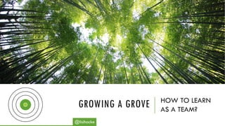 GROWING A GROVE HOW TO LEARN
AS A TEAM?
@lisihocke
 