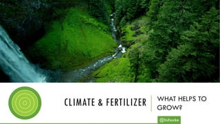CLIMATE & FERTILIZER WHAT HELPS TO
GROW?
@lisihocke
 