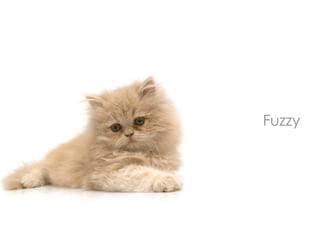 Fuzzy
 
